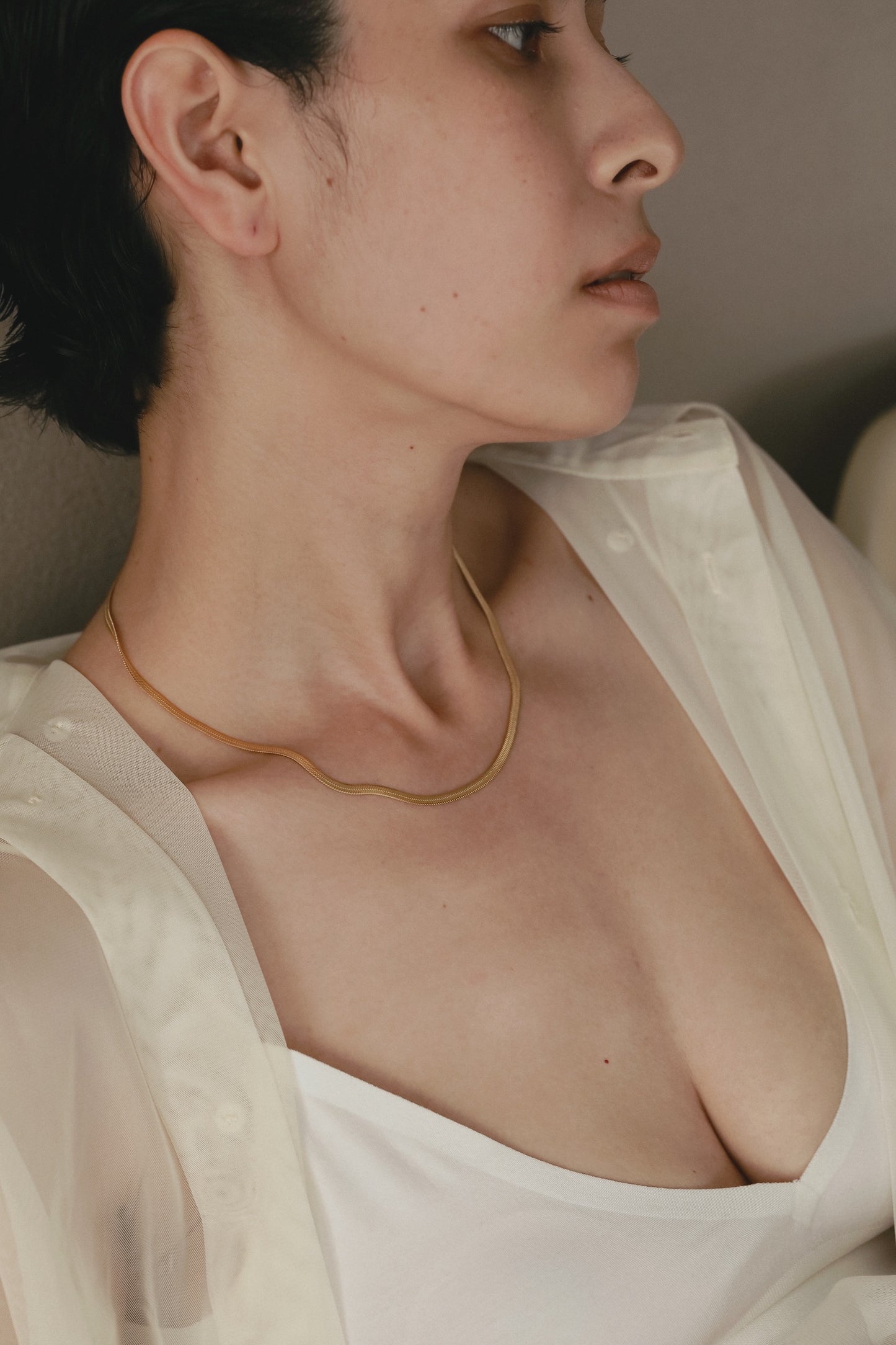 ［316L］Wide snake Necklace (Gold)