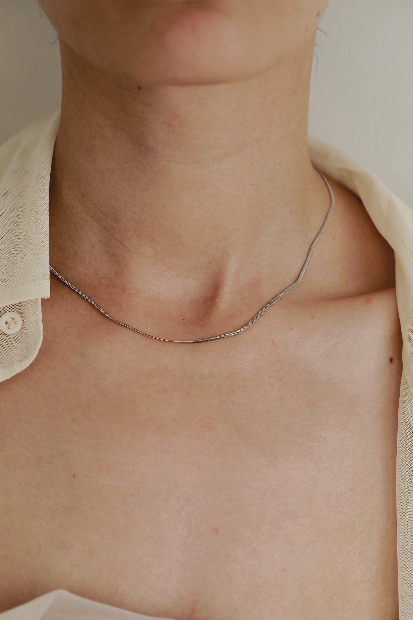 ［316L］Skin snake Necklace (Silver)